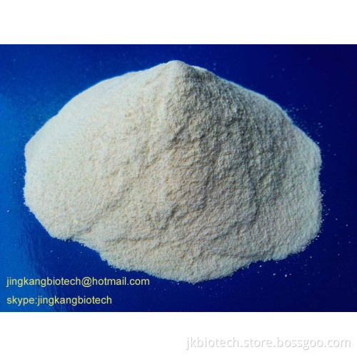 Pepsin CAS: 9001-75-6